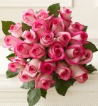 Pink flowers of appreciation