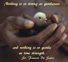 Gentleness