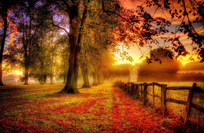 majestic-autumn-nature-landscape