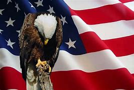 Image result for pictures of praying for america